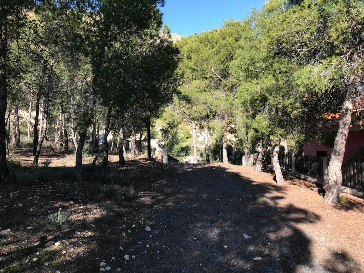 Ojós Casas Rurales "Paraje El Cajal" المظهر الخارجي الصورة