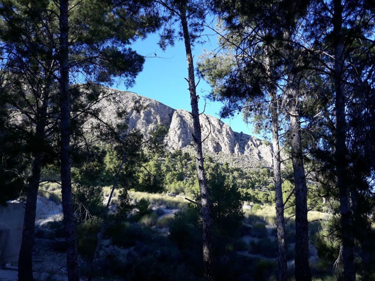Ojós Casas Rurales "Paraje El Cajal" المظهر الخارجي الصورة